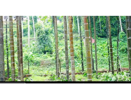 Land for sale in kannur.