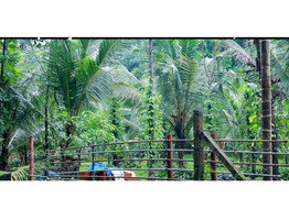 Land for sale in kannur.