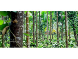 Land for sale in kannur.