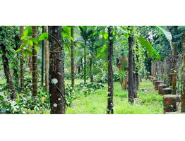 Land for sale in kannur.