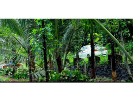 Land for sale in kannur.