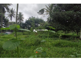 40 cent land for sale near Kenichira, Wayanad