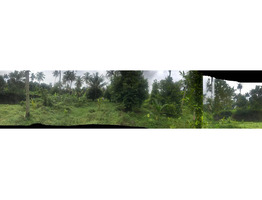 Land for Sale at  Karukutty,  angamaly, Ernakulam.