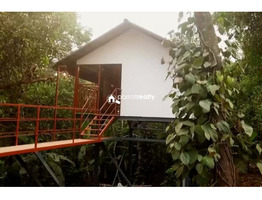 1.5 acre with 4 bhk house for sale in Pathirichal near Mananthavady @ 1.80 Cr..