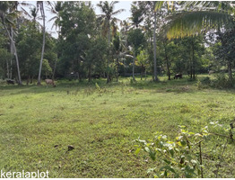 Residential Land for Sale in Adinad, Karunagapally, Kollam