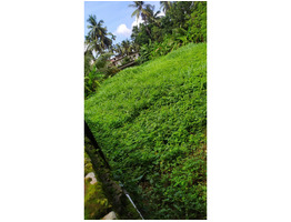 Residential Land for Sale in Patturaikkal, Thrissur, Thrissur.