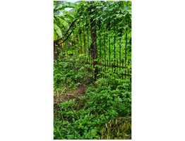 Residential Land for Sale in Patturaikkal, Thrissur, Thrissur.