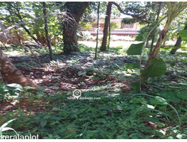 14 Cent  plot  for sale at  Chirakkal Kannur