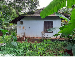 Freehold Residential Land for Sale at Chettipparambu, Irinjalakuda, Thrissur