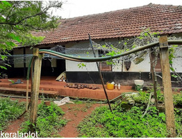 Freehold Residential Land for Sale at Chettipparambu, Irinjalakuda, Thrissur