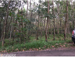 33 CENT RESIDENTIAL PLOT FOR SALE AT KOLLAM