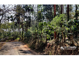 1 acre 68 cent Investment purpose land available in  Vakeri @ 42 lakh