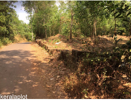 Excellent 12.5 cent Residential Plot for Sale| Kannadirparamba, Kannur