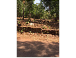 Excellent 12.5 cent Residential Plot for Sale| Kannadirparamba, Kannur