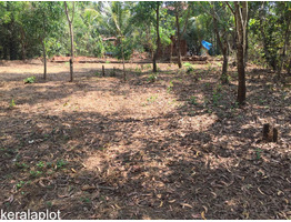 Excellent 12.5 cent Residential Plot for Sale| Kannadirparamba, Kannur