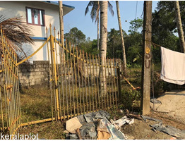 15 CENT RESIDENTIAL LAND FOR SALE AT PATHANAMTHITTA