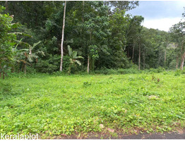 18 cent land for sale Kottayam district Pala town