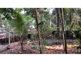 50 Cent Land With House For Sale Near Chengannur town,Alappuzha District