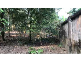 50 Cent Land With House For Sale Near Chengannur town,Alappuzha District