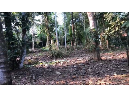 50 Cent Land With House For Sale Near Chengannur town,Alappuzha District