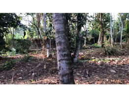 50 Cent Land With House For Sale Near Chengannur town,Alappuzha District