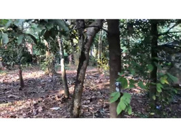 50 Cent Land With House For Sale Near Chengannur town,Alappuzha District