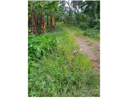 Land for sale near Muttar central road side