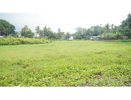 1 acre 90 cents  Thoombu palam near to Kadukutty junction thrissur