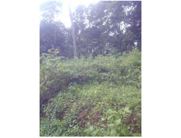 11 cent land for sale at kumily idukki