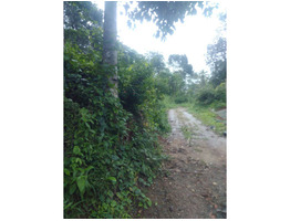 11 cent land for sale at kumily idukki