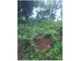 11 cent land for sale at kumily idukki