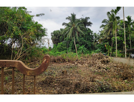 Residential Plot of 11.5 cent for sale in Peringandoor, Thrissur.