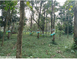 80 cent of land for sale in piravom