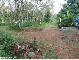 80 cent of land for sale in piravom