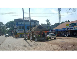 Commercial Land for Sale in Thamarakulam, Kayamkulam, Alleppey