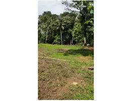 RESIDENTIAL LAND FOR SALE IN KADAMBANAD,PATHANAMTHITTA