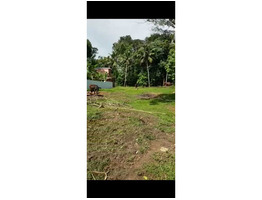 RESIDENTIAL LAND FOR SALE IN KADAMBANAD,PATHANAMTHITTA