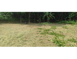 22.5 cents Residential land for sale near Nedumbassery Airport 4.5 Lakhs/Cent Only.