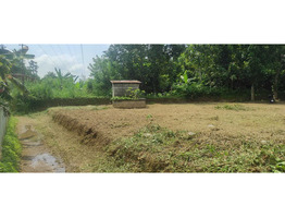 22.5 cents Residential land for sale near Nedumbassery Airport 4.5 Lakhs/Cent Only.