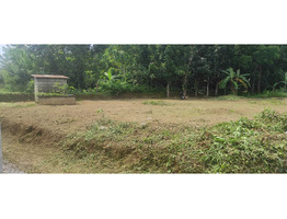 22.5 cents Residential land for sale near Nedumbassery Airport 4.5 Lakhs/Cent Only.