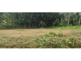 22.5 cents Residential land for sale near Nedumbassery Airport 4.5 Lakhs/Cent Only.