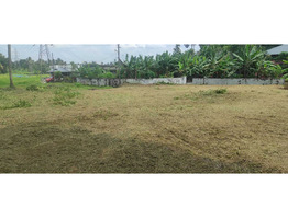 22.5 cents Residential land for sale near Nedumbassery Airport 4.5 Lakhs/Cent Only.