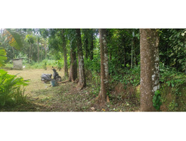 22.5 cents Residential land for sale near Nedumbassery Airport 4.5 Lakhs/Cent Only.