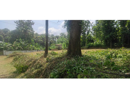 22.5 cents Residential land for sale near Nedumbassery Airport 4.5 Lakhs/Cent Only.