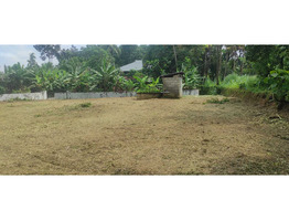 22.5 cents Residential land for sale near Nedumbassery Airport 4.5 Lakhs/Cent Only.