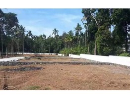 6 & 7 cents  PREMIUM NON- FLOODED plots for sale in Koratty