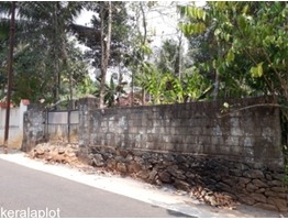 18 CENT SQUARE PLOT FOR  SALE IN KONNI PATHANAMTHITTA