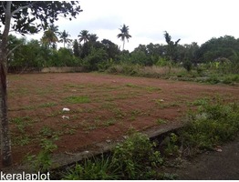 Plot in Angamaly for sale