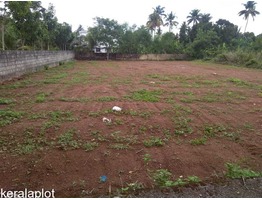 Plot in Angamaly for sale