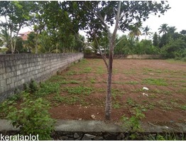 Plot in Angamaly for sale